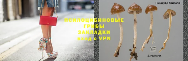 стаф Баксан